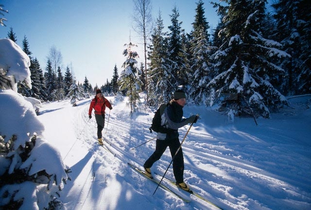 nouveaute ski de fond a ESI Villeneuve